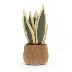Amuseable Snake Plant -Baby Toy Store A2SP 2