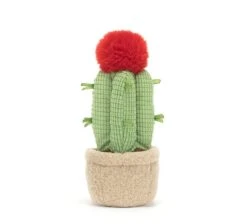 Amuseable Moon Cactus -Baby Toy Store A6MCA 3