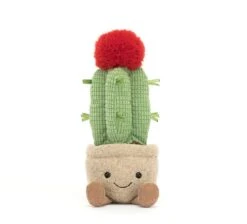 Amuseable Moon Cactus -Baby Toy Store A6MCA 4