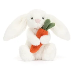Bashful Bunny With Carrot -Baby Toy Store BB6C 4