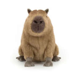 Clyde Capybara -Baby Toy Store CLY6C 4