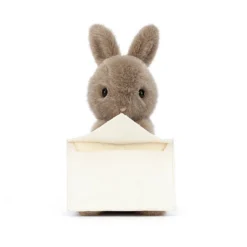 Messenger Bunny 8 Messenger Bunny -Baby Toy Store MES6B 4