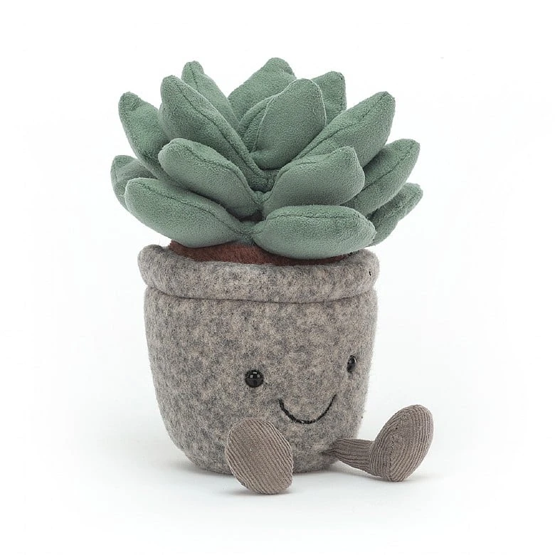Silly Succulent Azulita 1 Silly Succulent Azulita