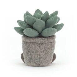 Silly Succulent Azulita 5 Silly Succulent Azulita -Baby Toy Store SS6AZ 2