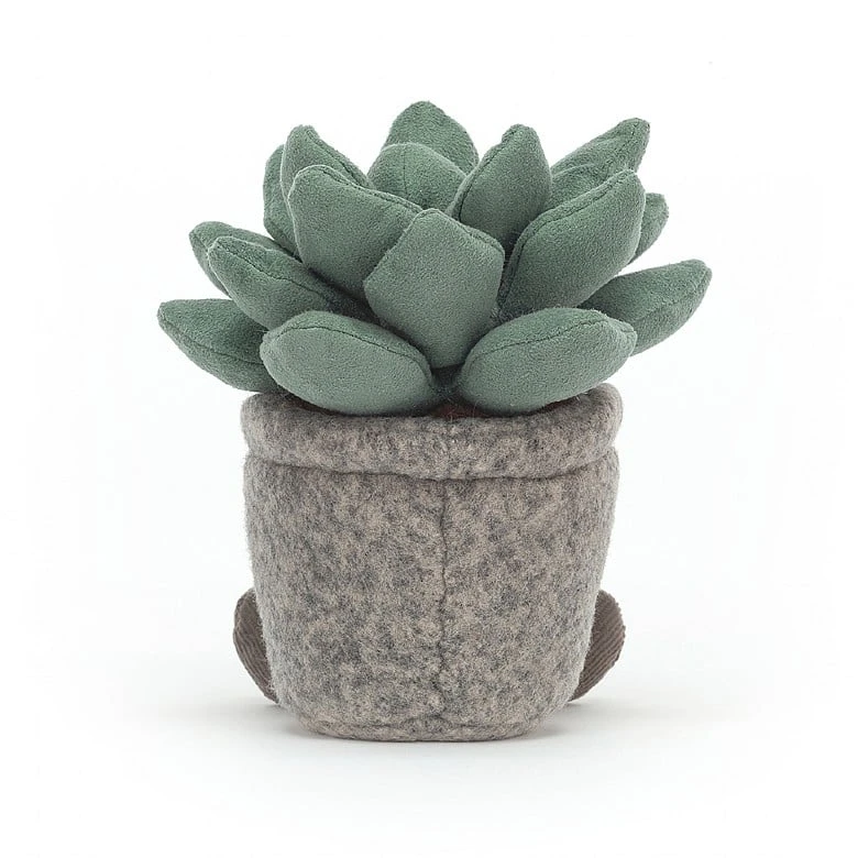Silly Succulent Azulita 3 Silly Succulent Azulita - Image 3