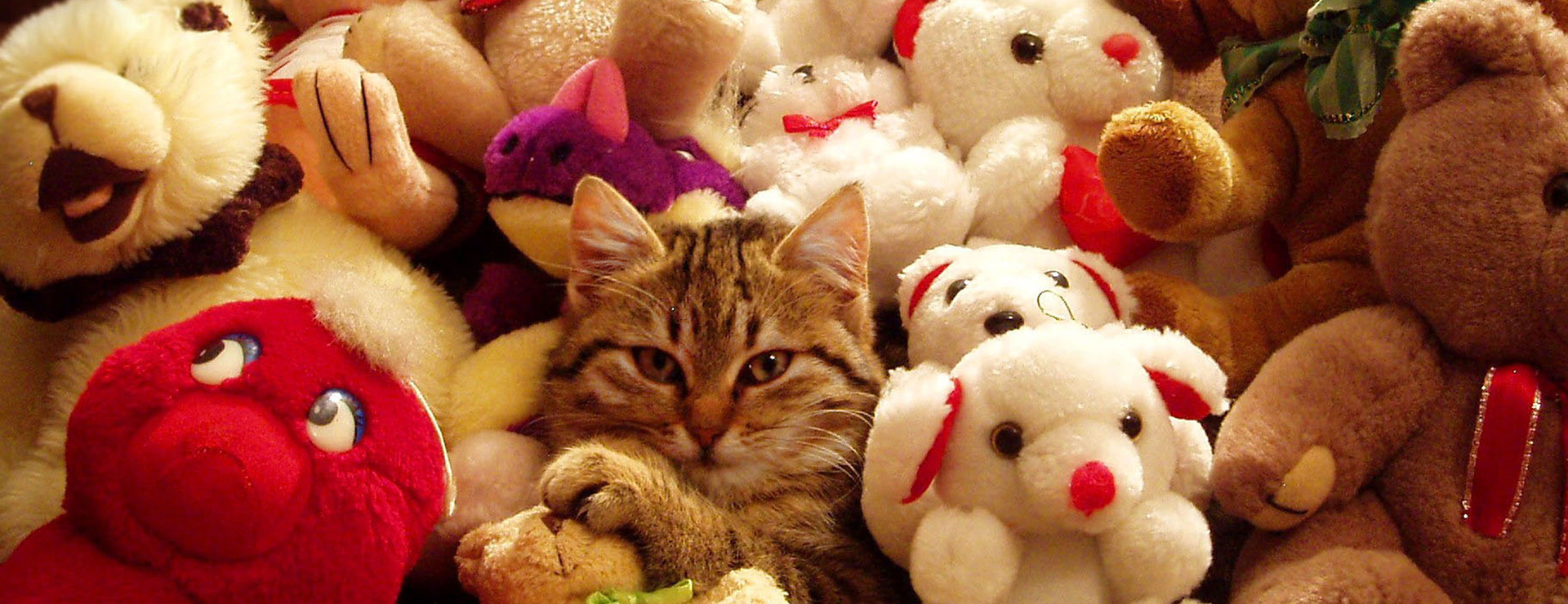 Baby Toy Store 1 Baby Toy Store -Baby Toy Store photo 1609533440656 68c27fc2862d